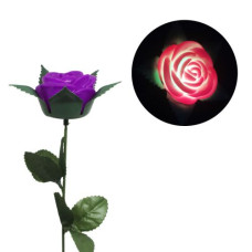 Светящаяся роза, 40 см (фиолетовый)
